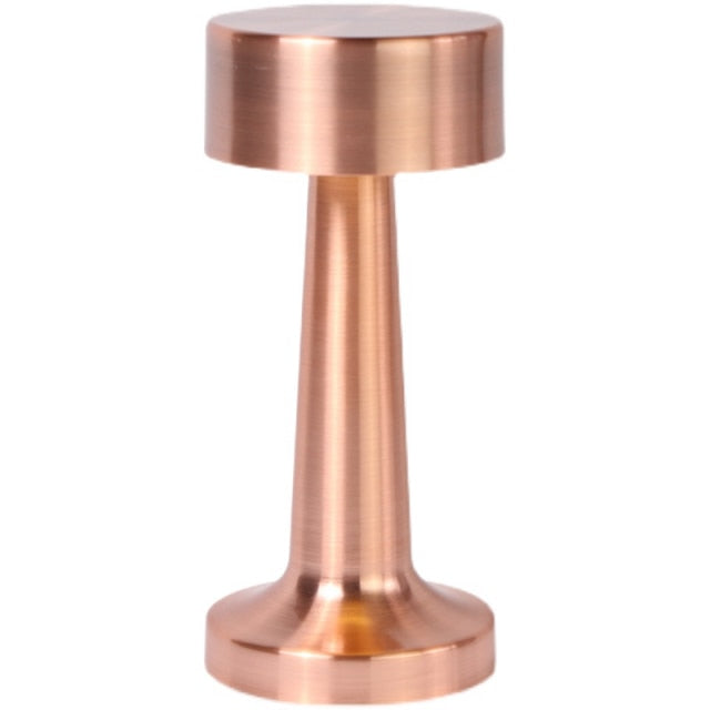 Stylish rechargeable lamp for living room